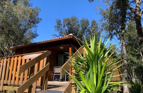 Sartene Apartment | L'Aravone Lodge