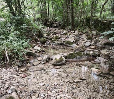 Veuvey-sur-Ouche Apartment | L'arrêt du pont