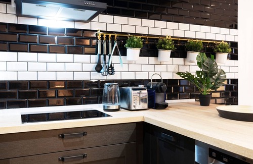 Saint Nicolas - Charles III - Ville vieille - Trois Maisons - Leopold Apartment | L'atelier de Nicolas - Bel appt au cœur de Nancy