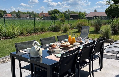 Daubensand House | L'Atelier du Ried, an unusual gîte in the heart of nature