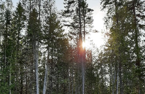 Saint Come Cabin | L'Atuk Cottage