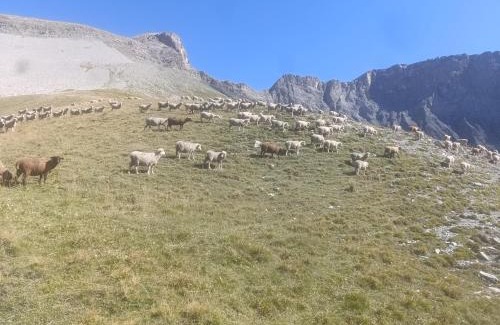 Le Vernet Hotel | L'auberge du Berger