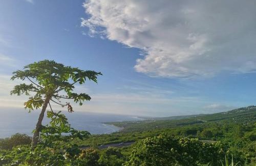 Saint-Leu Villa | L'Authentique