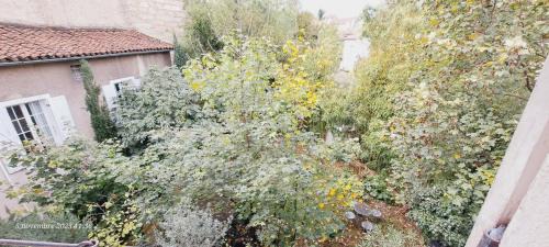 Prefecture Apartment | L'Echappée Belle - Centre ville - vue cour arborée