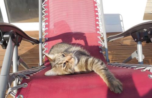 Die House | L'Eco-logis du Clos Des Tilleuls