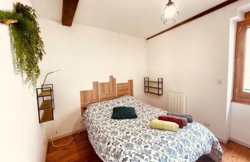 Centre Ville Apartment | L'edelweiss: three-bedroom hypercentre