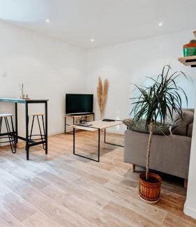 Dufau-Tourasse Apartment | L'Elégant - Idéal Couple - Parking Gratuit