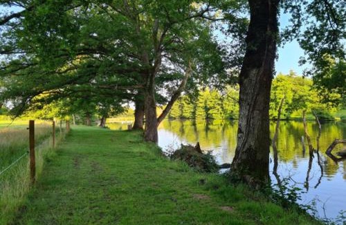 Betete Bed & Breakfast | L'Eléphant Heureux