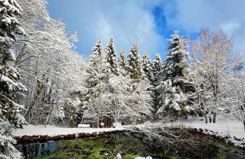 Grandfontaine Apartment | L'escale du Donon - Chambre Blanche