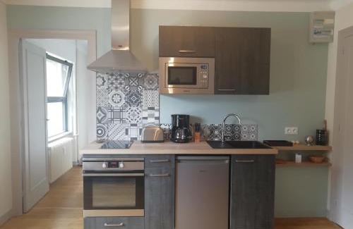 Centre ville - Urbanistes Apartment | L'Escale Fougeraise