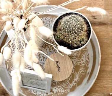 Saint-Etienne Apartment | L’Escale - Le Boho + garage + NETFLIX