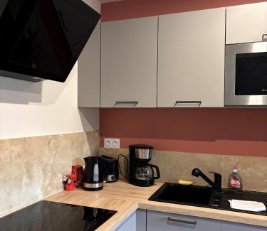 Saint-Romain-sur-Cher Apartment | L'Escapade Détente, 10 mn du ZooParc de Beauval