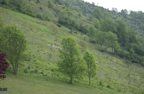 Peyragudes Apartment | L'Esquerade