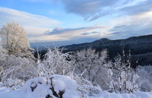 Eschbach-au-Val House | L'Estive, gîte à la ferme en montagne