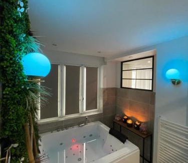 Quartier Chorier-Berriat Apartment | L'extasia appartement,spa jacuzzi Grenoble