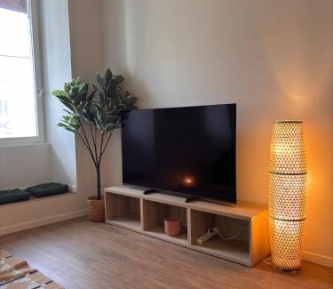 La Roche-sur-Foron Apartment | L'hacienda au coeur de La Roche sur Foron