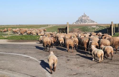 Pontorson House | L'Hirondelle