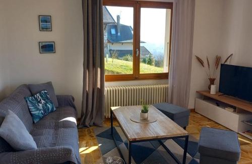 Veyrier-du-Lac Apartment | L'Horizon Bleu, Splendide vue sur le Lac Annecy, à 3mn du Lac