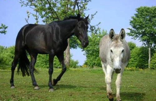 Chaulieu House | L'Insiniere Gite