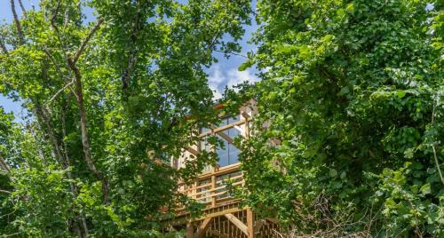 Amboise House | L'Observatoire Sauvage - Amboise