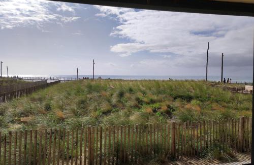 Lacanau-Ocean Apartment | L'océan, les pins et vous