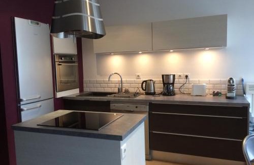 Le Puy-en-Velay Apartment | L'Oddo de Gissey