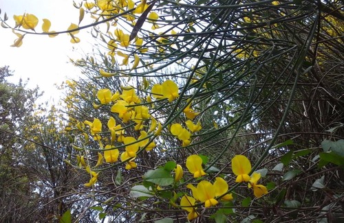 Villelaure House | L'Oustaou de Ramoundo