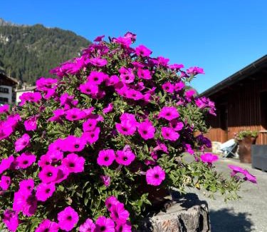 Bionaz House | La Baita