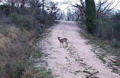 San Venanzo Ski Chalet | La Bandita Cottage