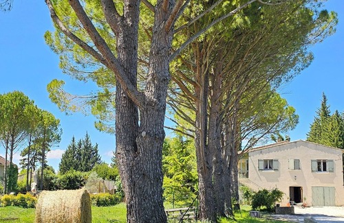 Carpentras Villa | La Bastide des Oliviers Provencal gîte with swimming pool in 1 ha of greenery