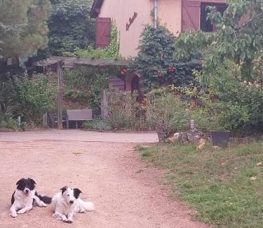 Montmelas-Saint-Sorlin Apartment | La belle étape