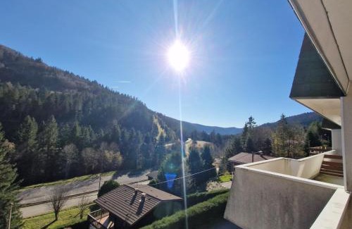 La Bresse Apartment | La Bresse Nature and Glisse