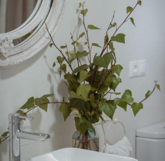 Alicante House | La Buena Sombra