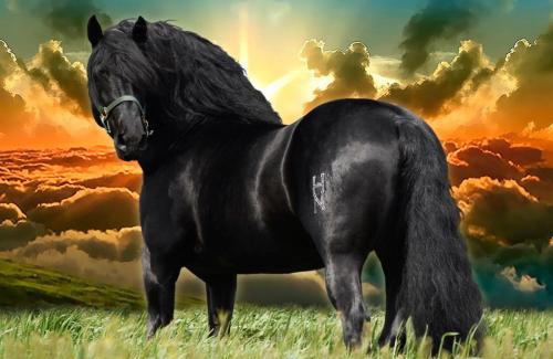 Arroyo Frio Apartment | La Buhardilla