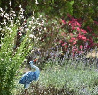 Cuers Ski Chalet | La Buissoniére