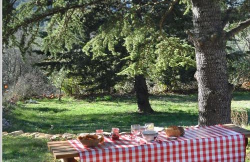 Cuers Ski Chalet | La Buissoniére