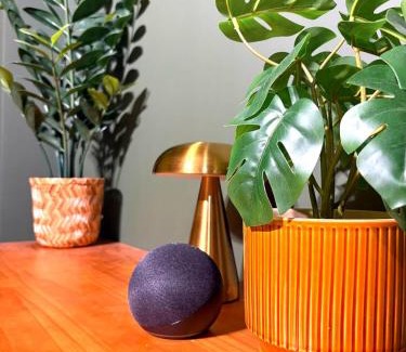 Villefranche-sur-Saone Apartment | La Cachette Sauvage au cœur de Villefranche