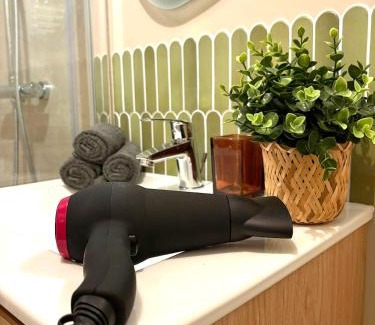 Villefranche-sur-Saone Apartment | La Cachette Sauvage au cœur de Villefranche