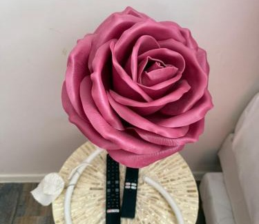 Hesingue Apartment | La Cachette Fleurie