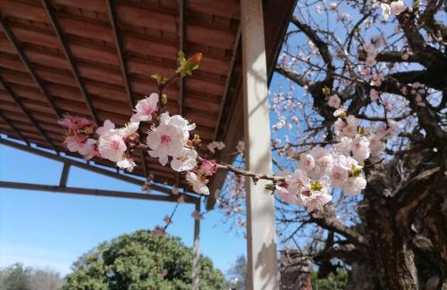 Tuglie House | La campagna di Manuel