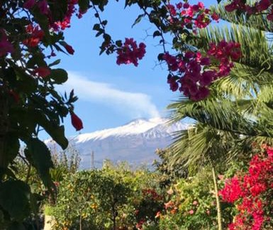 Trappitello Bed & Breakfast | La Capanna di Giuseppe e Maria
