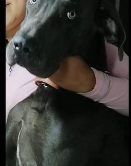 Santa Rosa de Cabal House | La Carolina