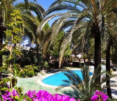 Pedreguer Apartment | La casa de las Palmeras