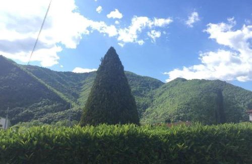 Scopeti Apartment | La casa dei nonni- Tuscany countryside