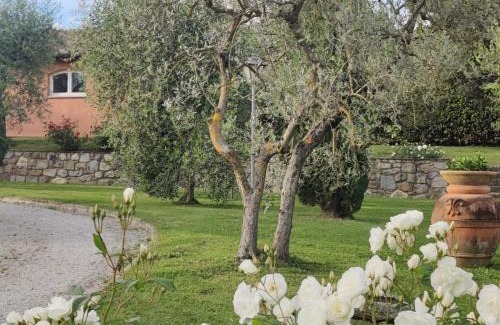 Terranuova Bracciolini House | La Casa delle Rose