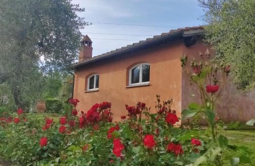 Terranuova Bracciolini House | La Casa delle Rose