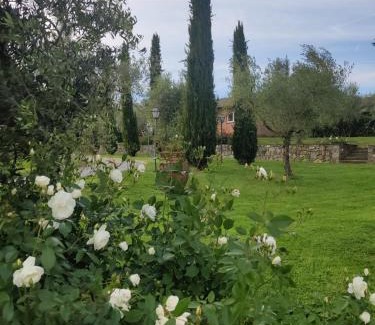 Terranuova Bracciolini House | La Casa delle Rose