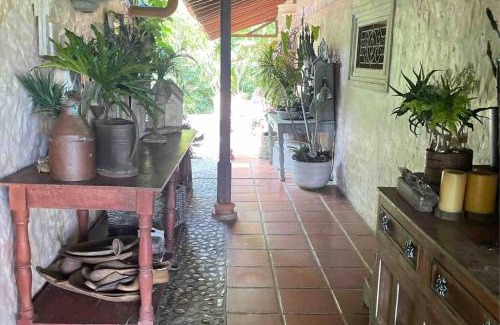 Amaga House | La Casa del Samán