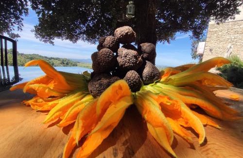 Torri in Sabina Apartment | La casa del tartufo