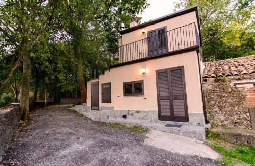 Randazzo House | la casa della quercia